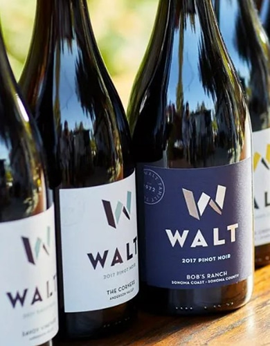 Four bottles of WALT wines