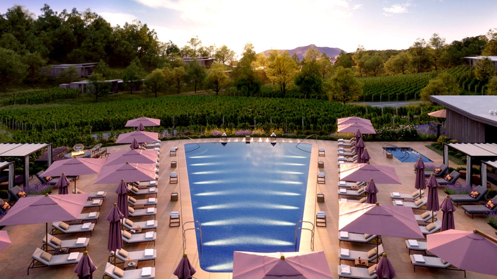 Pool with vineyard and mountains in the background
