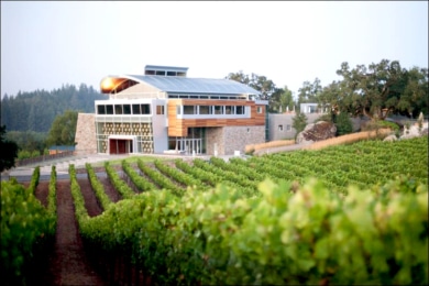Williams Selyem building & vineyard - lot for SCWA