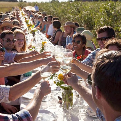 Long dinner table with diners toasting each other with white wine