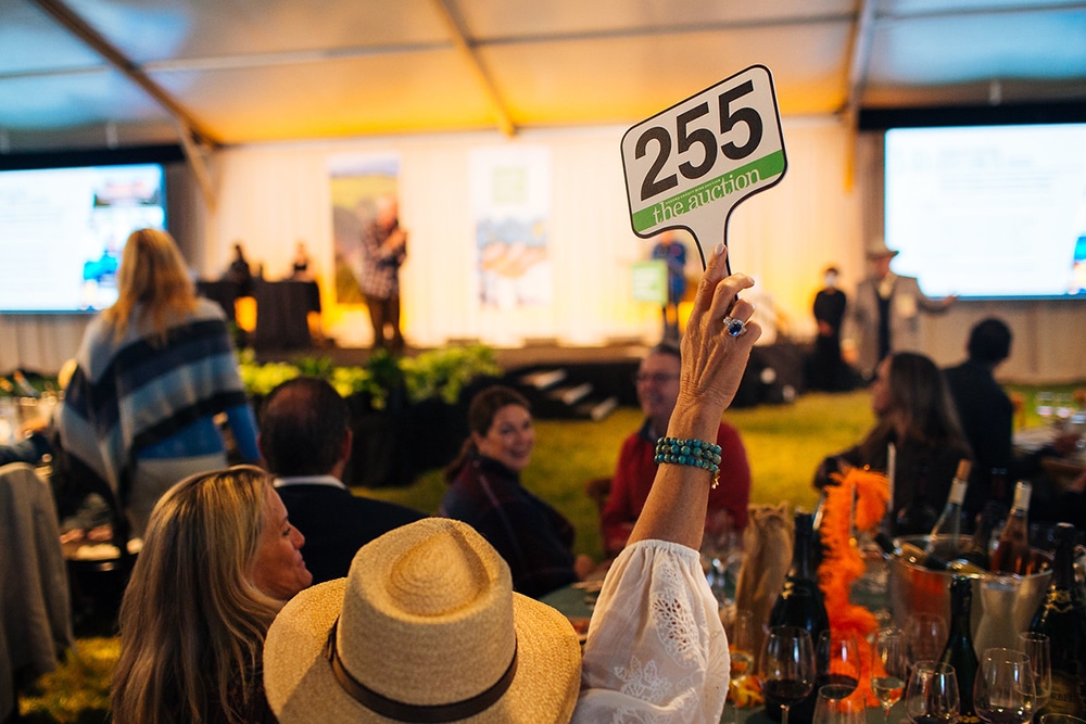 Paddle #255 raised by a woman at Sonoma County Wine Auction