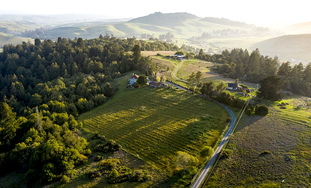 Ernest Vineyards aerial view - lot for SCWA