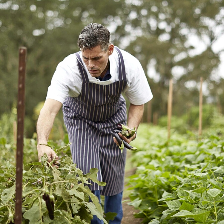 Todd Knoll picking vegetables in a garden