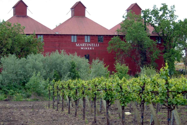 Martinelli Winery with vineyard in the foreground